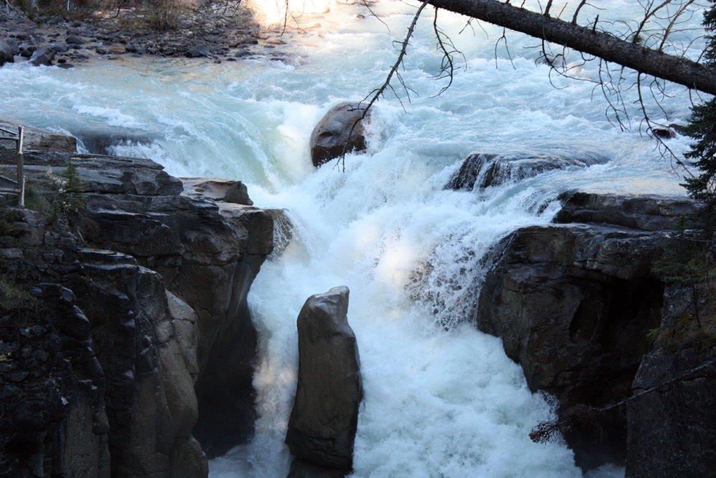 Sunwapta Falls Rocky Mountain Lodge Jasper Bekvämligheter bild
