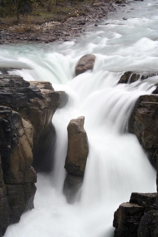 Sunwapta Falls Rocky Mountain Lodge Jasper Exteriör bild